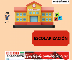 Escolarización Escolarización